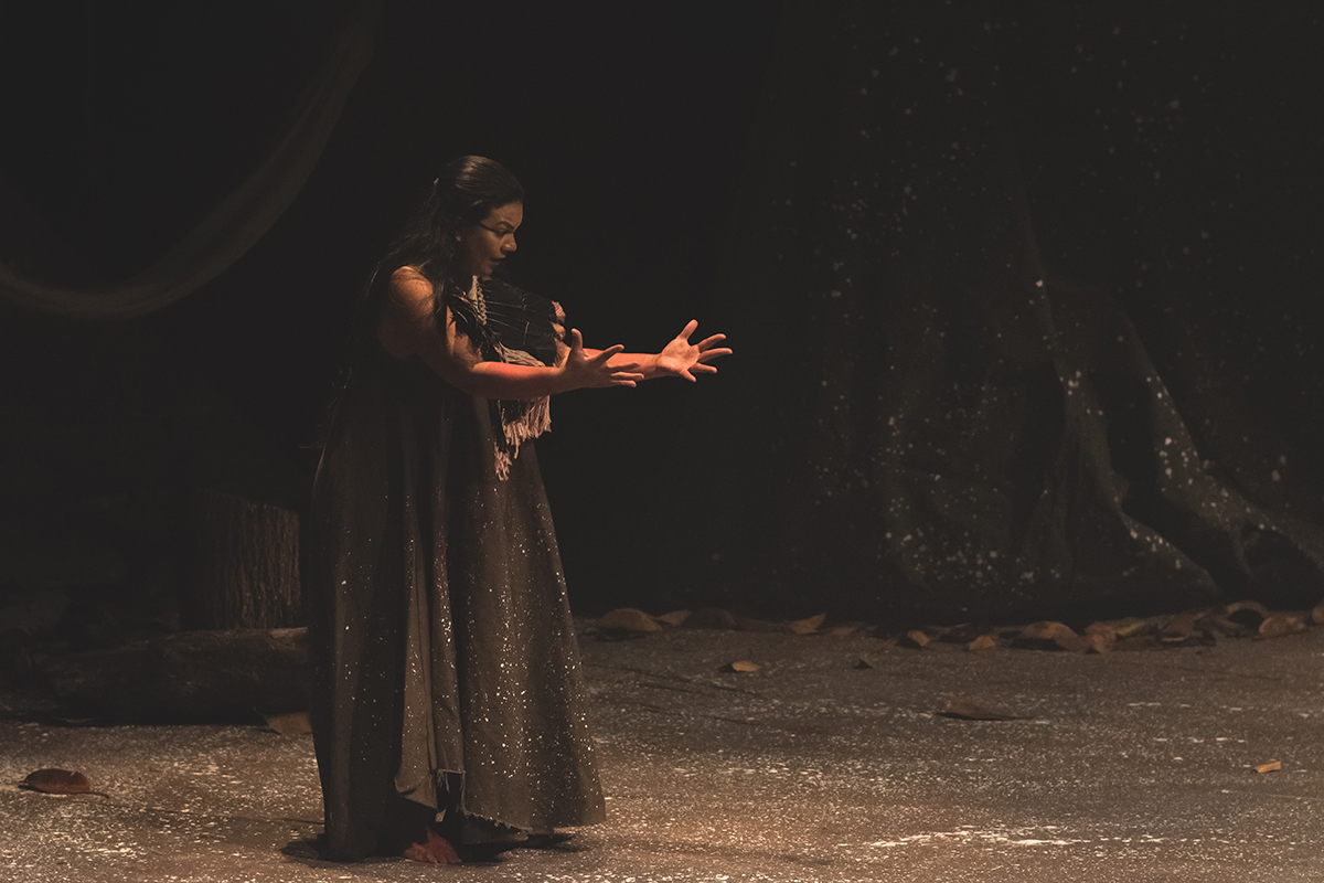 Flecha Borboleta (10).jpg