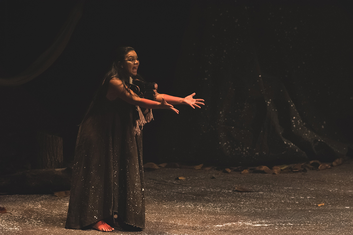 Flecha Borboleta (9).jpg