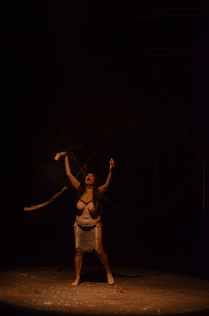 Flecha Borboleta (2).JPG